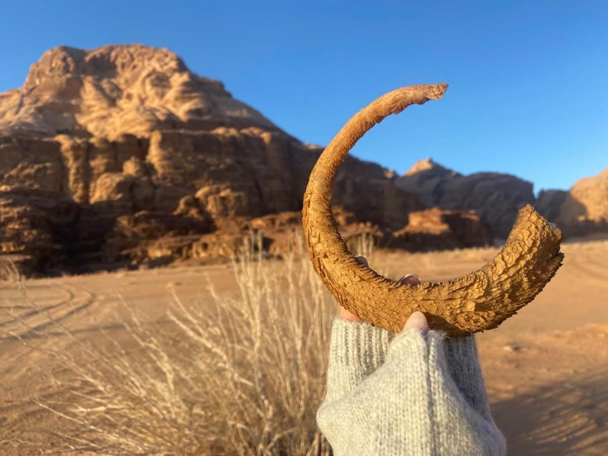 Wadi Rum Albasli Buitenkant foto