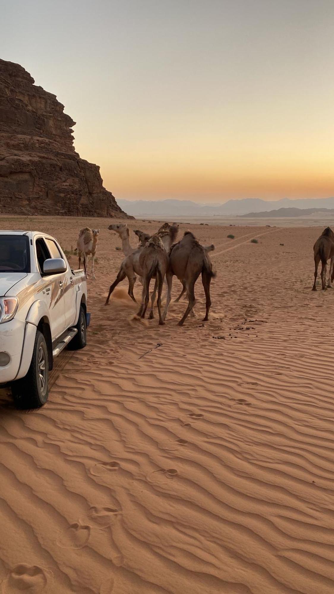 Wadi Rum Albasli Buitenkant foto