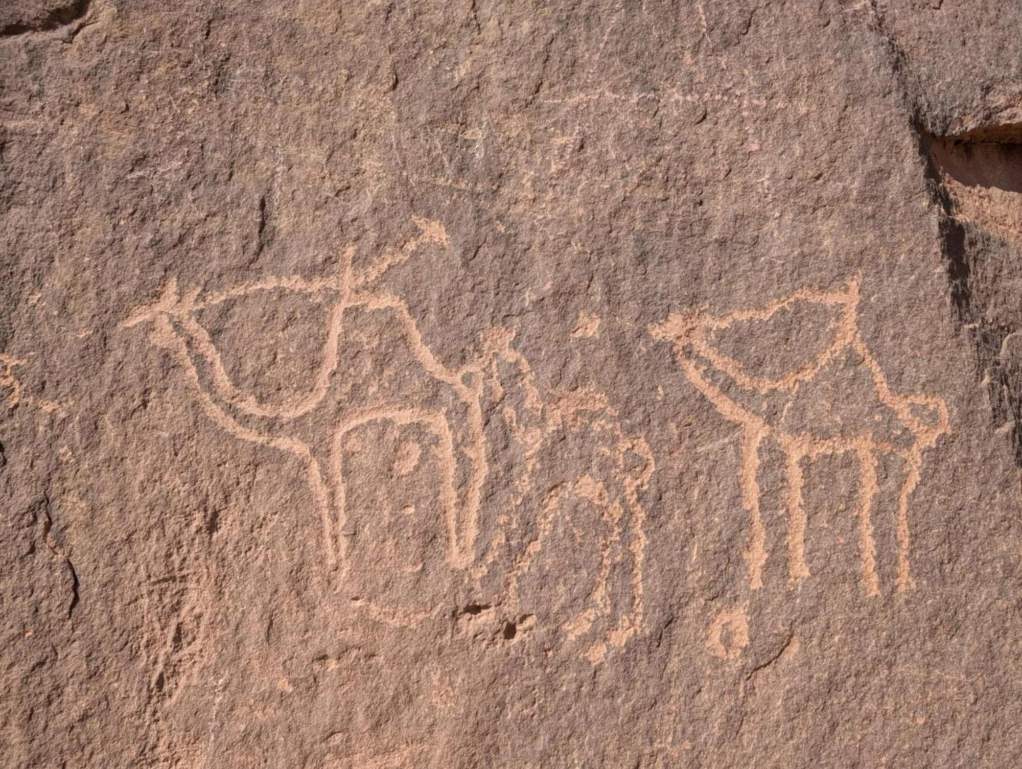 Wadi Rum Albasli Buitenkant foto