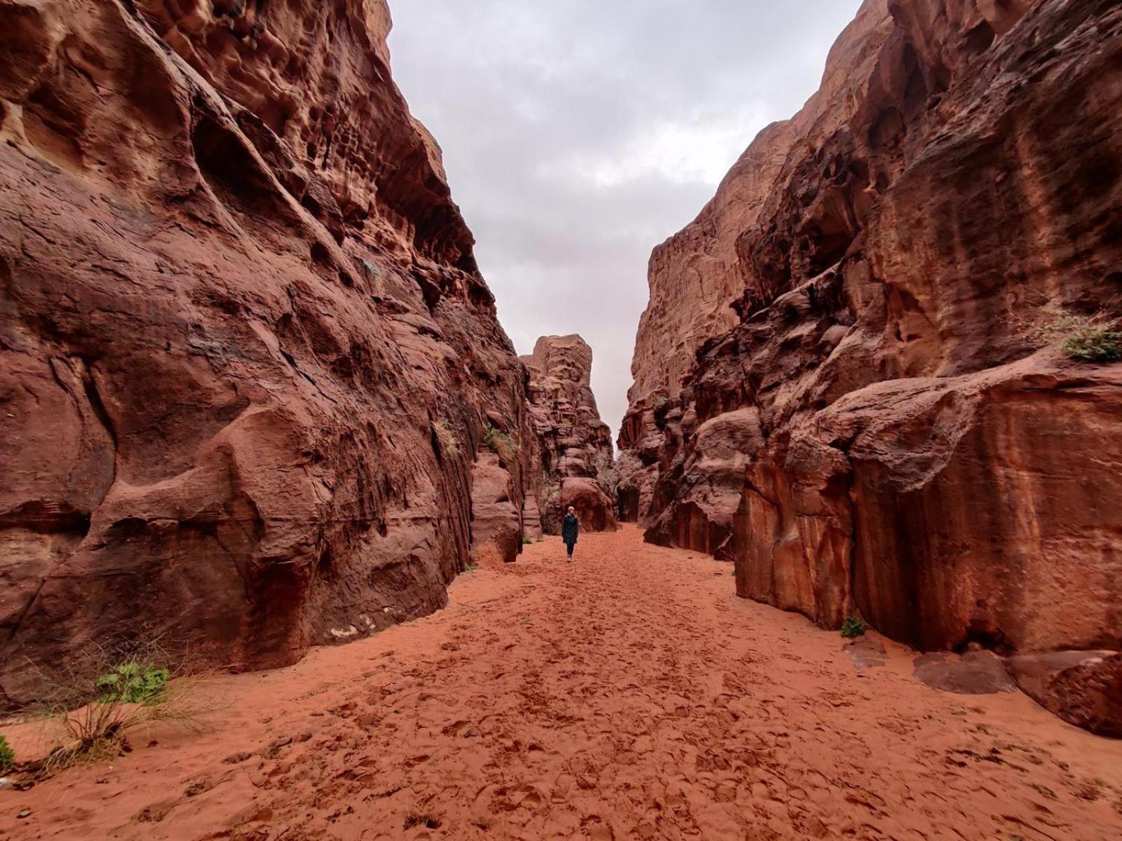 Wadi Rum Albasli Buitenkant foto